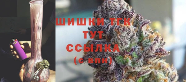 мдпв Володарск