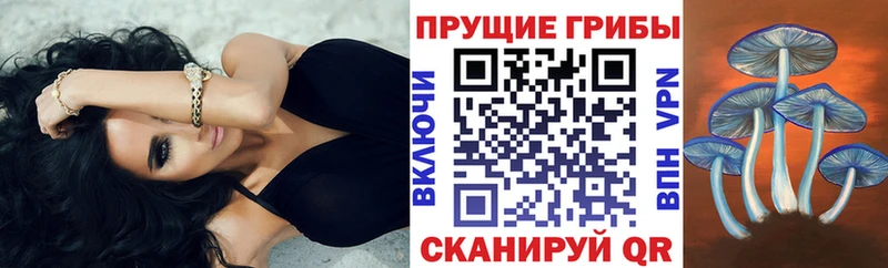 Купить закладки  Десногорск  Псилоцибиновые грибы Magic Shrooms 